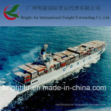 Agente de logística Ocean Sea Freight Envío de China a Eslovenia Koper